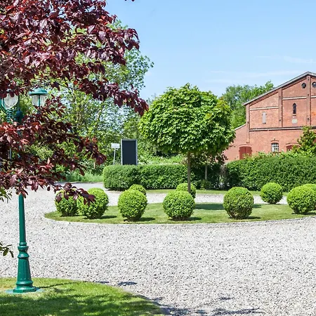 Silbermoewe * Fehmarn