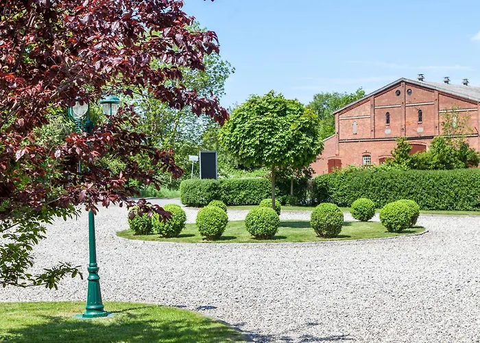 Silbermoewe * Fehmarn